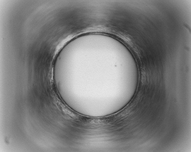 X0000101661366200807311426