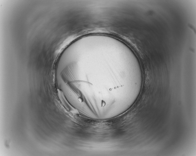 X0000101661367200807311426