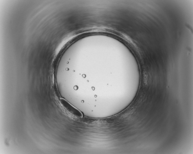 X0000101661368200807311426