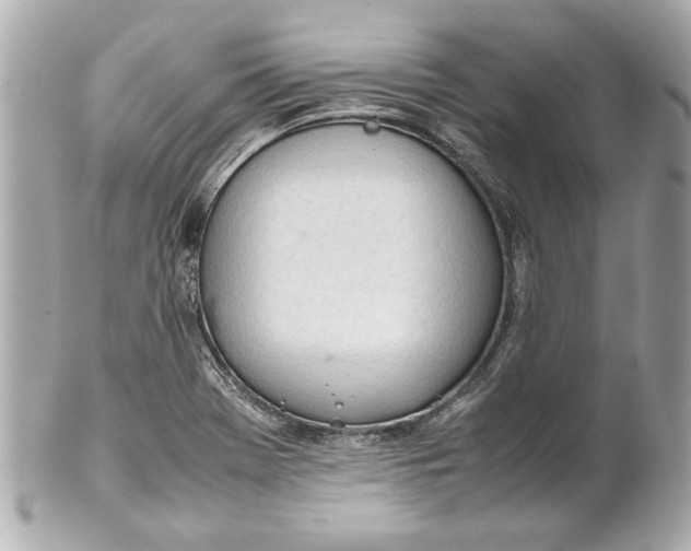 X0000101661369200807311426