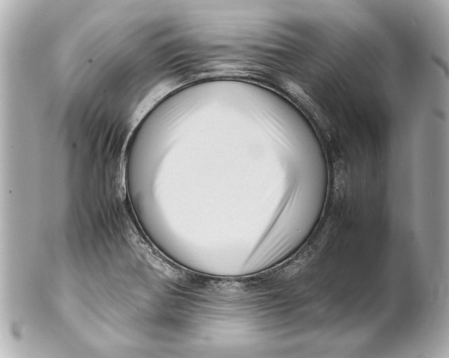 X0000101661370200807311426