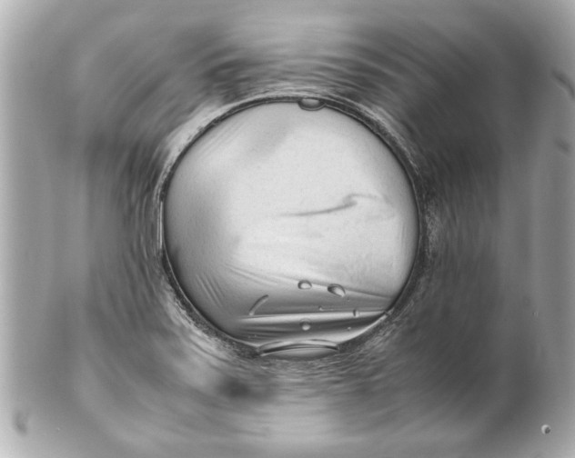 X0000101661371200807311426