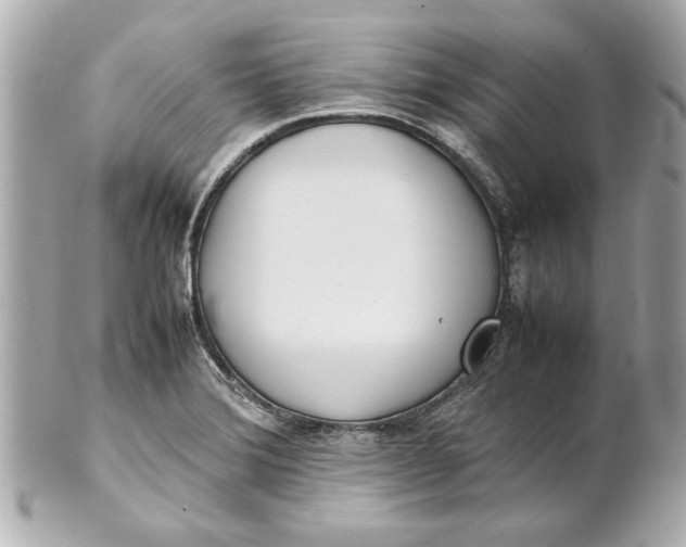 X0000101661372200807311426