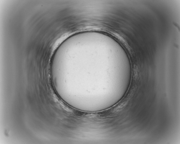 X0000101661373200807311426