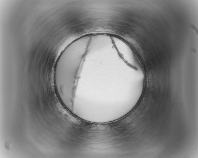 X0000101661374200807311426