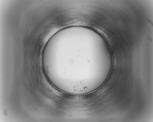 X0000101661375200807311426