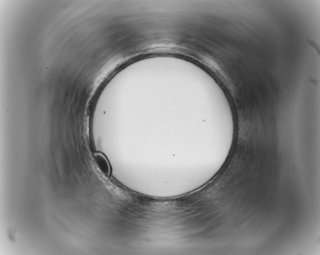 X0000101661376200807311426