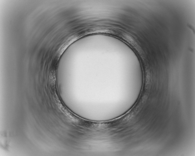 X0000101661377200807311426