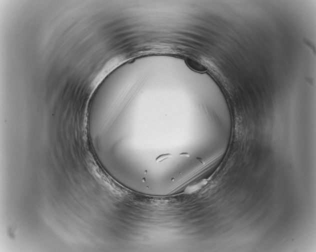 X0000101661378200807311426