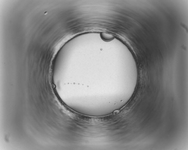 X0000101661379200807311426