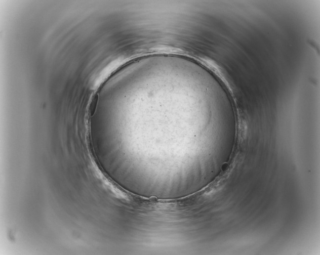 X0000101661381200807311425