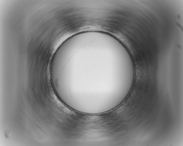 X0000101661382200807311425