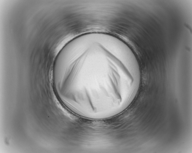 X0000101661383200807311425