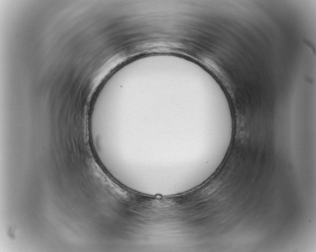 X0000101661384200807311425