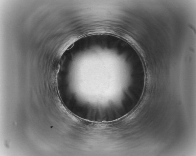 X0000101661385200807311425