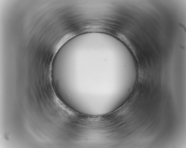 X0000101661386200807311425