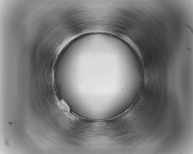 X0000101661388200807311425