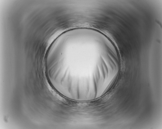 X0000101661389200807311425