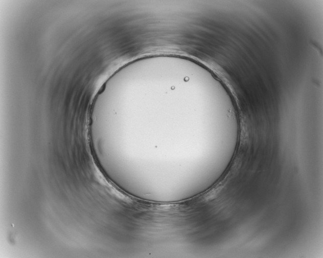 X0000101661390200807311425