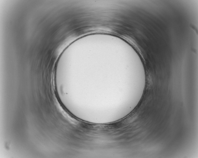 X0000101661391200807311425