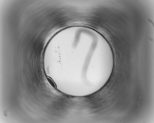 X0000101661392200807311425