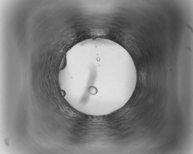 X0000101661393200807311425