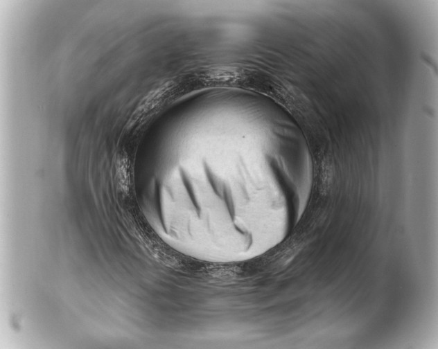 X0000101661394200807311425