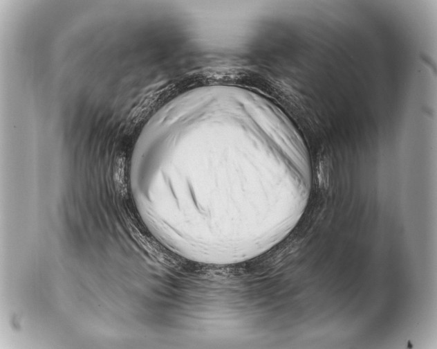 X0000101661396200807311425