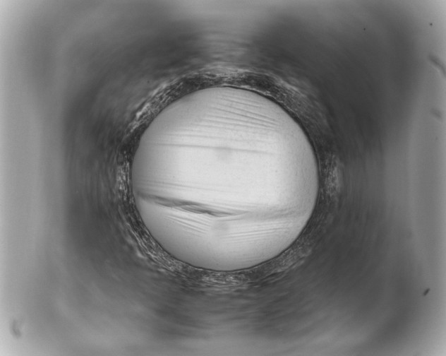 X0000101661397200807311425