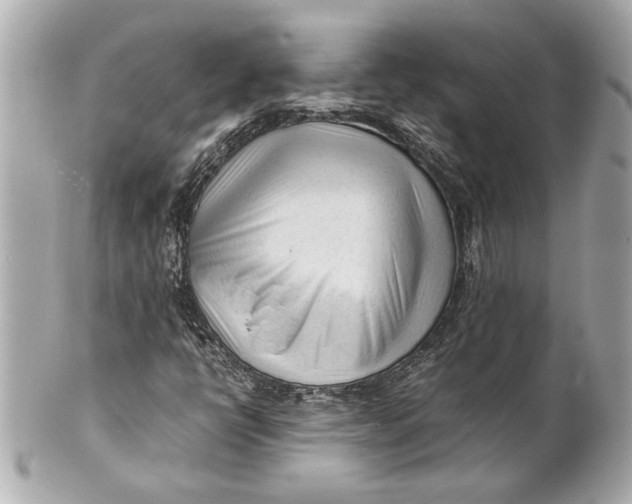 X0000101661398200807311425