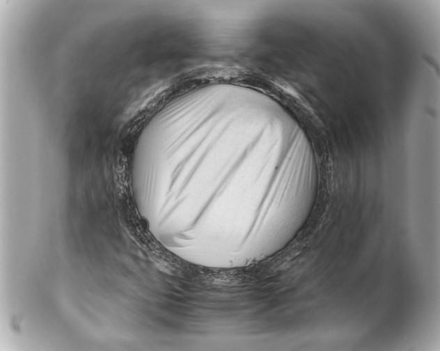 X0000101661399200807311425