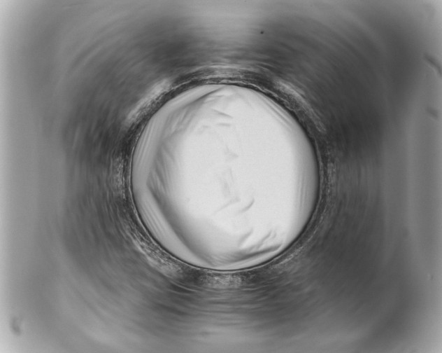 X0000101661403200807311425