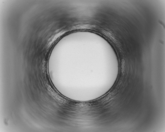 X0000101661404200807311425