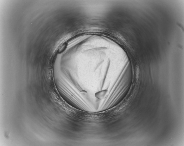 X0000101661405200807311425