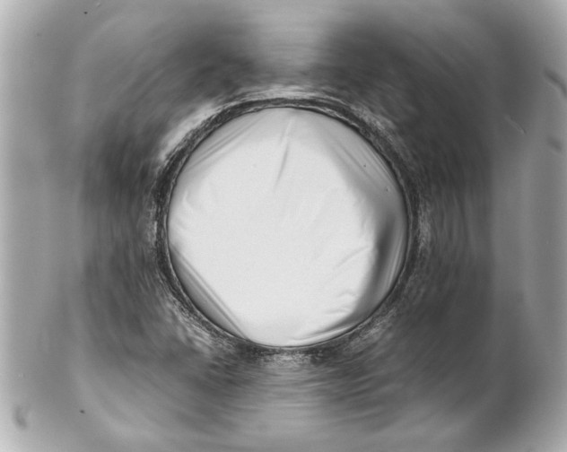 X0000101661406200807311425