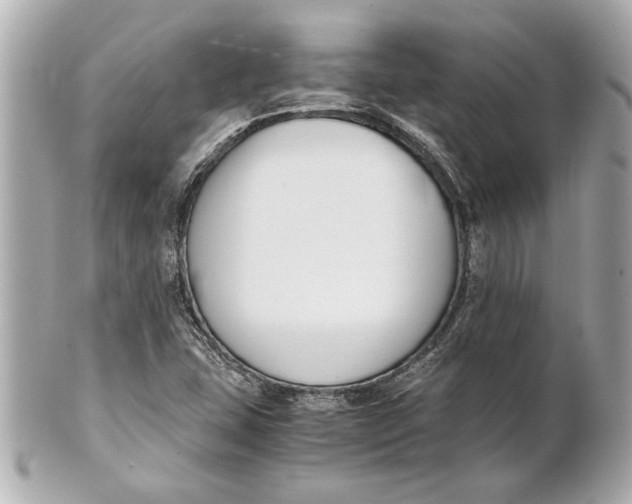 X0000101661407200807311425