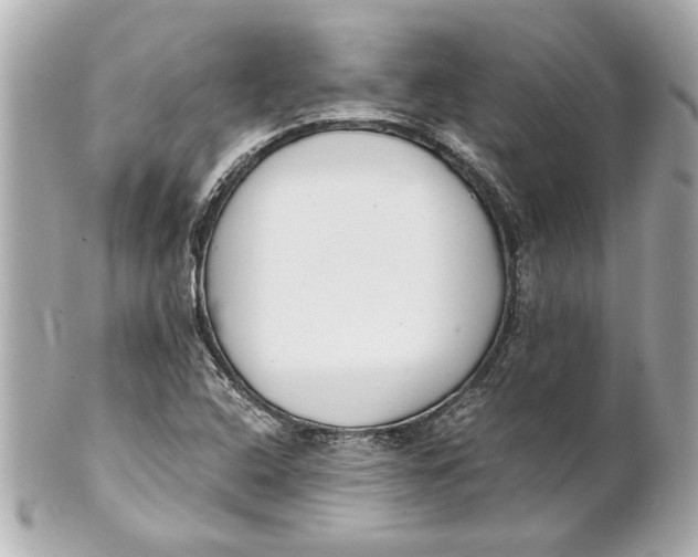 X0000101661408200807311425