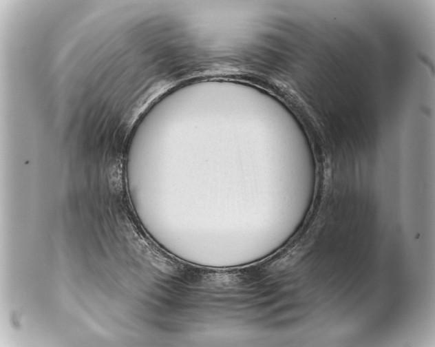 X0000101661409200807311425