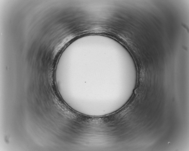 X0000101661410200807311425