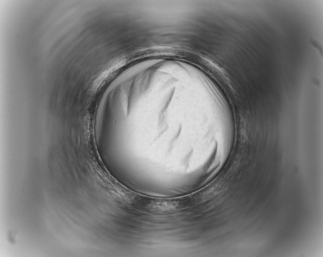 X0000101661411200807311425