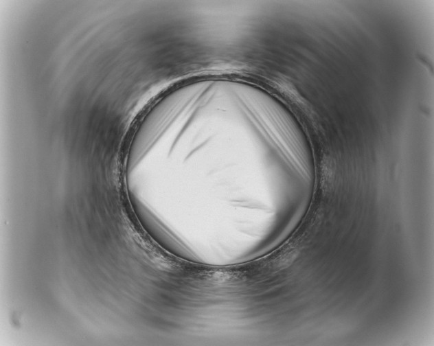 X0000101661412200807311425