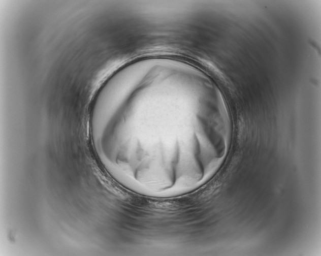 X0000101661413200807311425