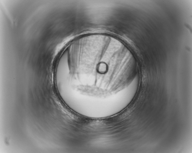 X0000101661414200807311425