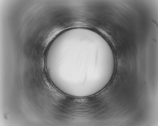 X0000101661415200807311425