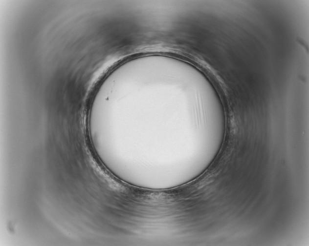 X0000101661416200807311425