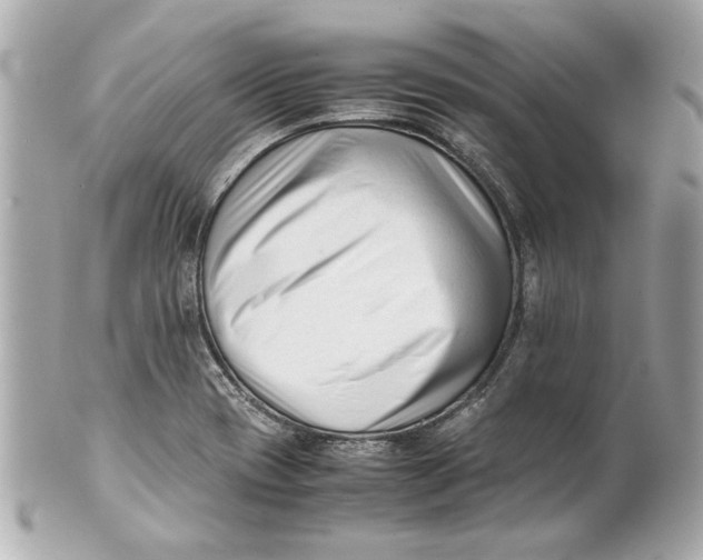 X0000101661417200807311425