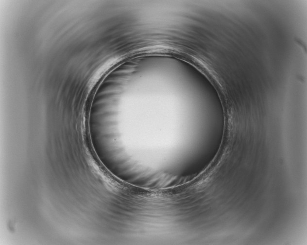 X0000101661418200807311425