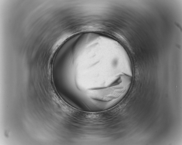 X0000101661419200807311425