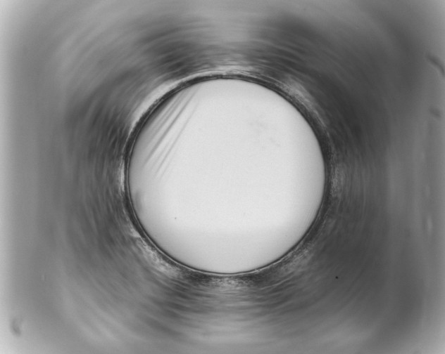 X0000101661420200807311425