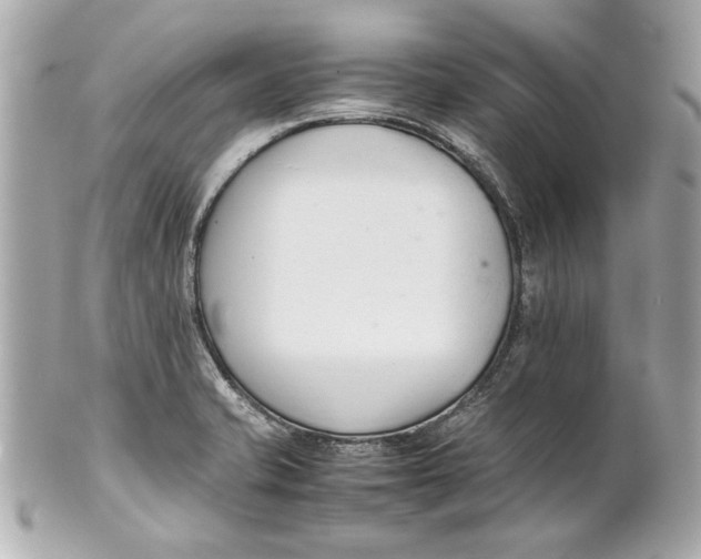 X0000101661421200807311425